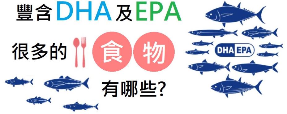 富含DHA・EPA的食物